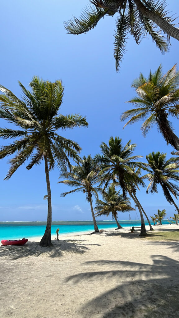 a86dc833 e08c 4bc6 be82 3d7400bb07f1